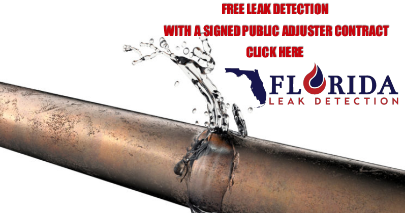 Commercial Slab Leak Detection